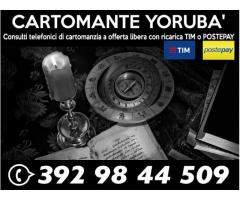 Consulti con il Cartomante Yoruba'