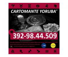 ...✪-✪-✪... Cartomante Yorubà ...✪-✪-✪...