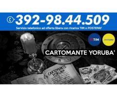 •.¸★¸.••¸★¸.•Yoruba' Cartomante•.¸★¸.••.¸★¸.•