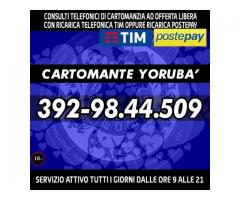 •.¸★¸.••¸★¸.•CARTOMANTE Yoruba'•.¸★¸.••.¸★¸.•