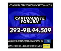 ¸.•*´¨`*•.¸Consulti con il Cartomante Yoruba'¸.•*´¨`*•.¸