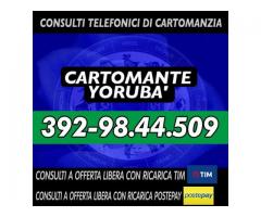 Consulti telefonici Ⓒⓐⓡⓣⓞⓜⓐⓝⓣⓔ Ⓨⓞⓡⓤⓑⓐ'