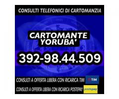 '•.¸(¯`'•.¸*♥♥♥♥ Cartomante Yoruba' ♥♥♥♥*¸.•'´¯)¸.•'