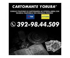 ★★★★★Consulto di Cartomanzia a offerta libera★★★★★