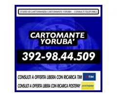 '•.¸(¯`'•.¸*♥♥♥♥ Cartomante Yoruba' ♥♥♥♥*¸.•'´¯)¸.•'