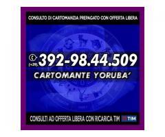 (¯`·._(¯`·._(Cartomante Yoruba')_.·´¯)_.·´¯)