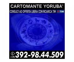 (¯`·._(¯`·._(Cartomante Yoruba')_.·´¯)_.·´¯)