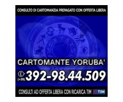 (¯`·._(¯`·._(Cartomante Yoruba')_.·´¯)_.·´¯)