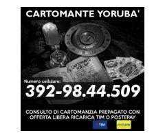 Consulto di Cartomanzia con offerta libera (ricarica telefonica TIM) - Cartomante Yoruba'